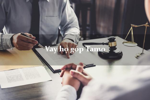 Vay họ góp Tamo Online